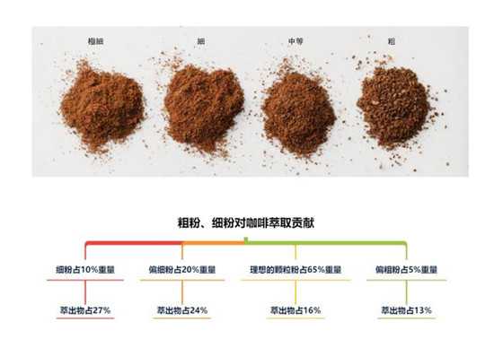 粗粉、细粉对咖啡萃取贡献