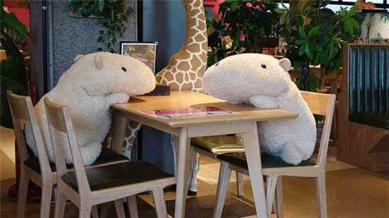 日本咖啡馆中摆满水豚玩偶，意在提醒人们保持社交距离2