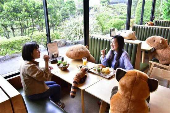日本咖啡馆中摆满水豚玩偶，意在提醒人们保持社交距离3