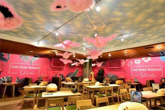日本咖啡馆中摆满水豚玩偶，意在提醒人们保持社交距离5