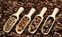 零基础该如何学习咖啡？