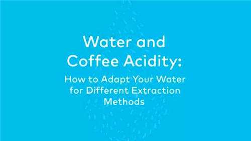 浅谈水与咖啡的酸度