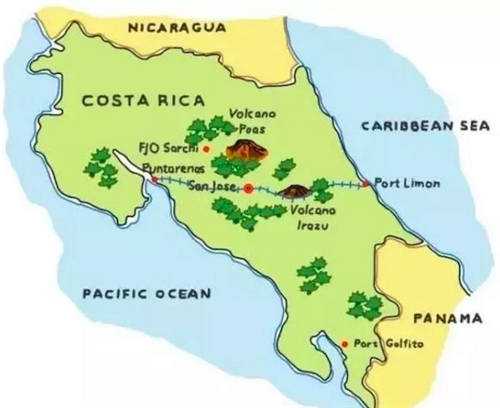 哥斯达黎加咖啡7