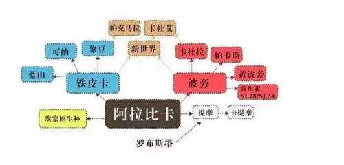 咖啡冷知识之铁皮卡与波旁的风味区别