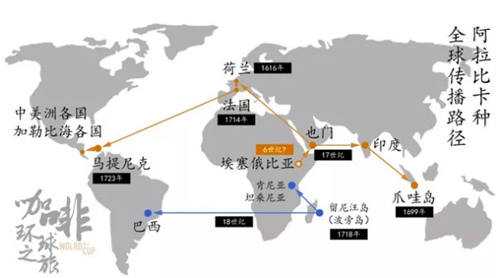 咖啡冷知识之铁皮卡与波旁的风味区别 13