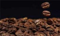 咖啡品鉴之常见的感官误区