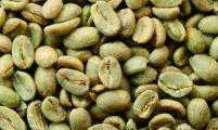 咖啡烘焙培训｜如何烘焙不同产区的咖啡豆？
