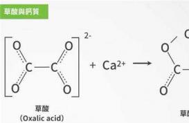 喝咖啡究竟会不会导致骨质疏松?