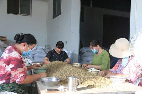 隆阳区走咖啡精品路线打造庄园经济2