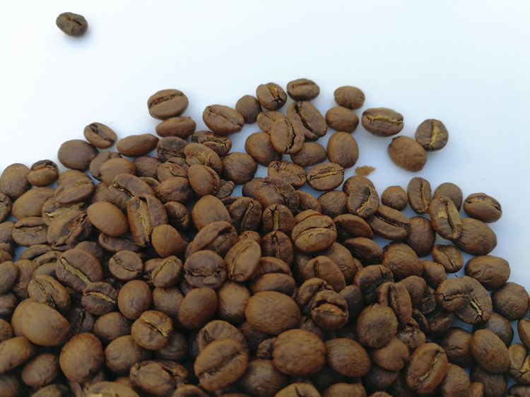 坦桑尼亚咖啡