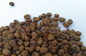 坦桑尼亚咖啡价格逆势上涨