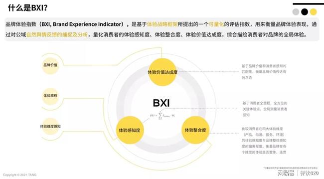 什么是BXI？