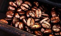 多重因素推动下 咖啡期货价格创10年来新高