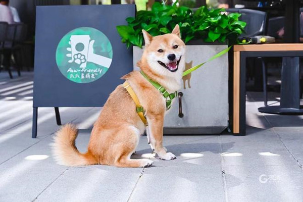 在户外区域，门店专门安装了适用于宠物的牵引绳挂钩